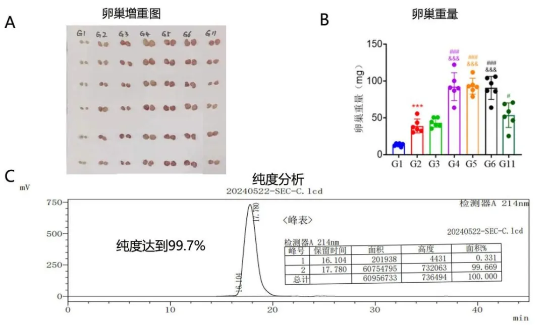 纯度高、活性好！尊龙凯时基因生物牛用FSH完成大鼠测定实验