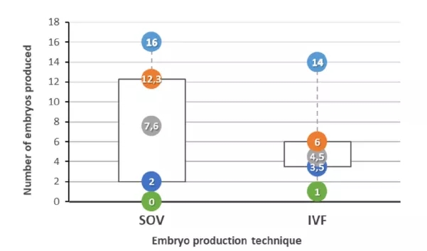 采用不同的SOV和体外受精（IVF）技术，在5个不同的集合中，所有10头母牛产生的胚胎数量（最小（绿色）、Q1（深蓝色）、平均（灰色）、Q3（橙色）和最大（浅蓝色）