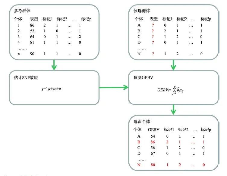 基因组选择技术在畜禽育种中的应用